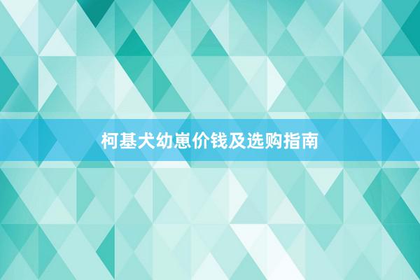 柯基犬幼崽价钱及选购指南